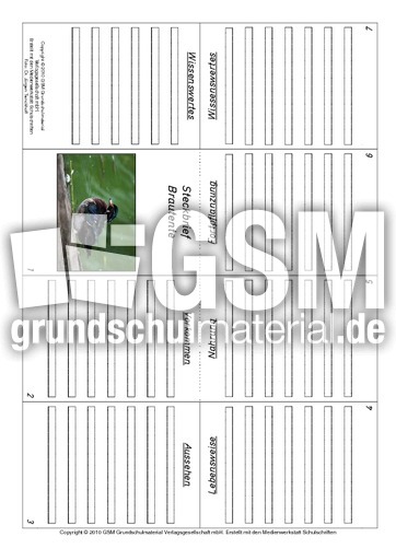 Faltbuch-Brautente.pdf